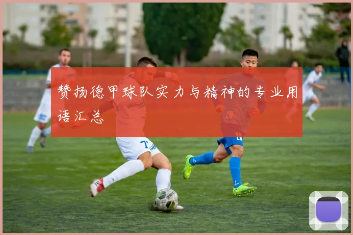 赞扬德甲球队实力与精神的专业用语汇总