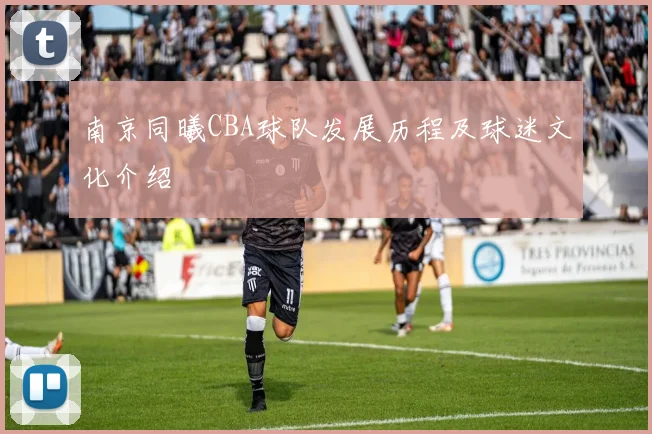 南京同曦CBA球队发展历程及球迷文化介绍
