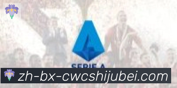 世界杯买球合作伙伴